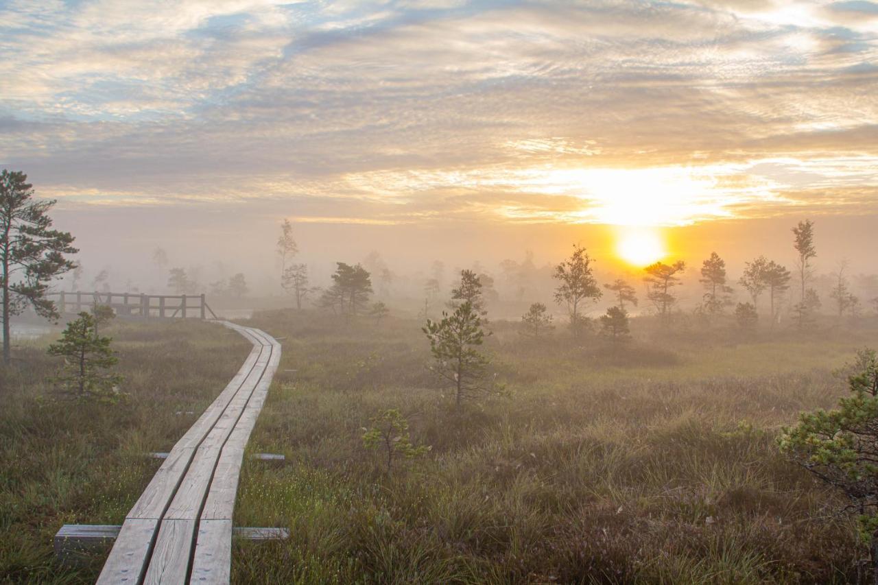 Schneider Hause Villa Jurmala Bagian luar foto
